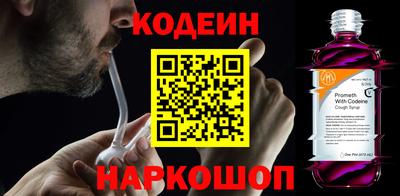 бошки Кингисепп