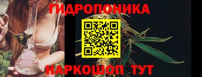 метадон Кимры