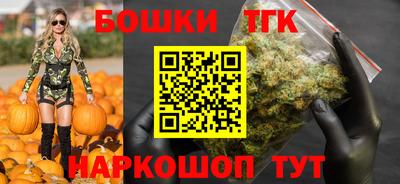 бошки Кингисепп