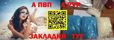 бошки Кингисепп