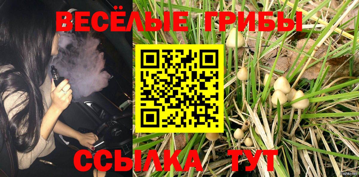 Галлюциногенные грибы MAGIC MUSHROOMS Красноярск