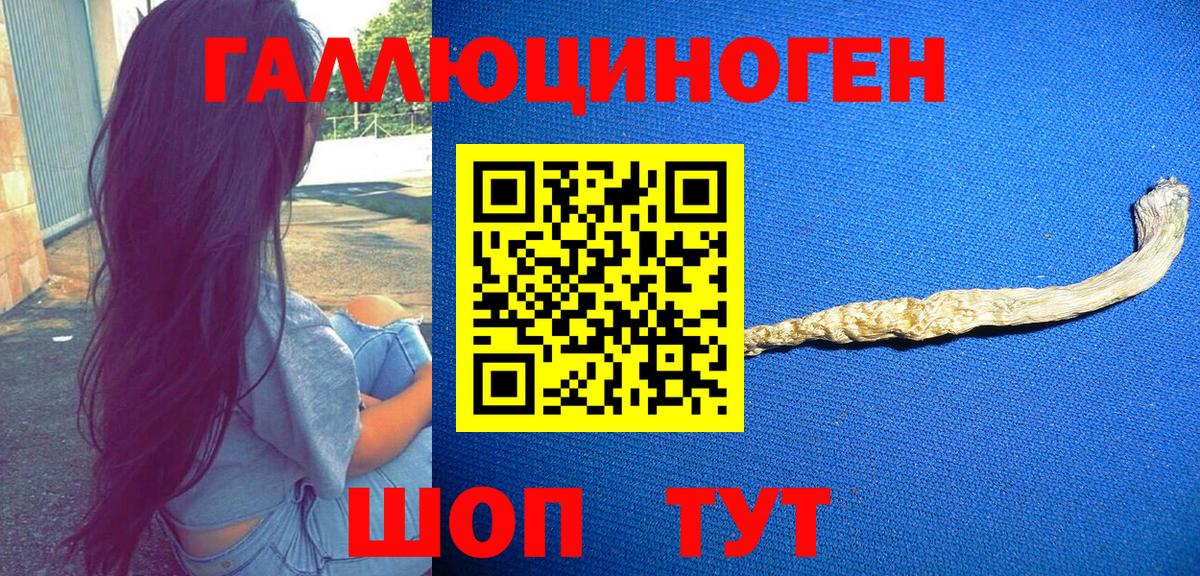 Галлюциногенные грибы Psilocybine cubensis  Вход с VPN  купить закладку  Красноярск 